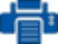 print icon